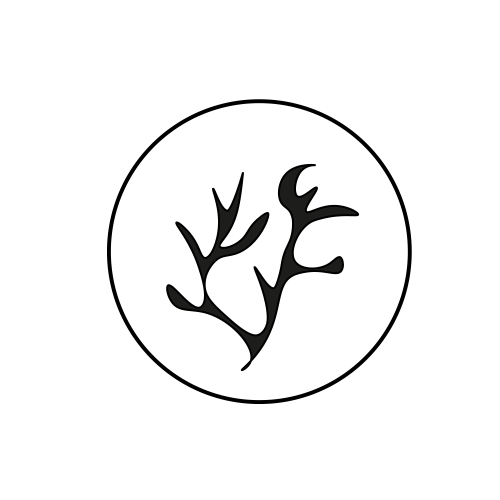 Tara & Sea Moss Extracts