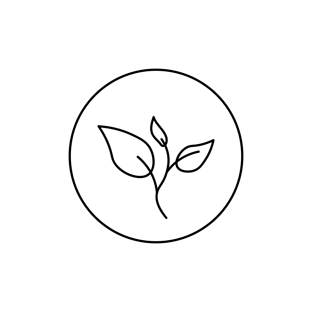 Rose Hip